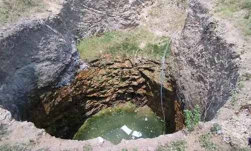 இறந்த கோழிகளை கொட்டியதால் துர்நாற்றம்