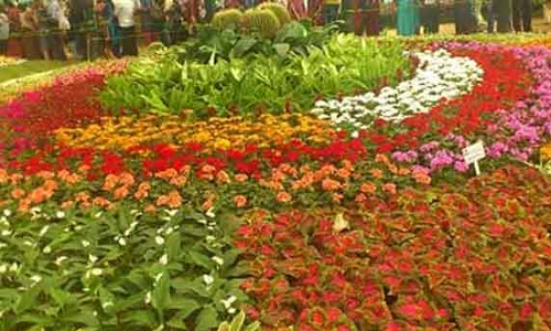 ஊட்டிக்கு சுற்றுலா பயணிகள் வருகை அதிகரிப்பு