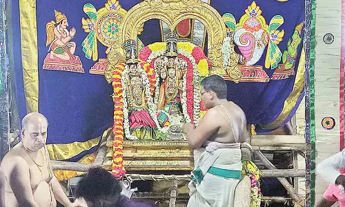 சீர்காழி தாடாளன் பெருமாள் கோவிலில் தெப்ப திருவிழா