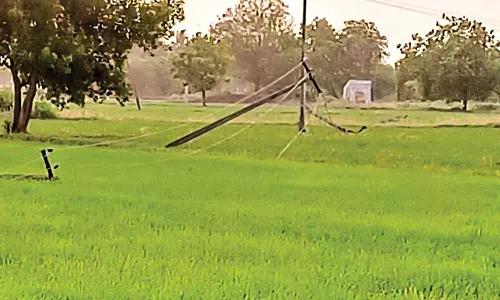 சூறைகாற்றால் சாய்ந்த மின்கம்பங்கள் சீரமைக்கப்படுமா?