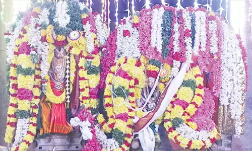 திருநல்லூர் கோவிலில் சுவாமி- அம்பாள் திருக்கல்யாணம்