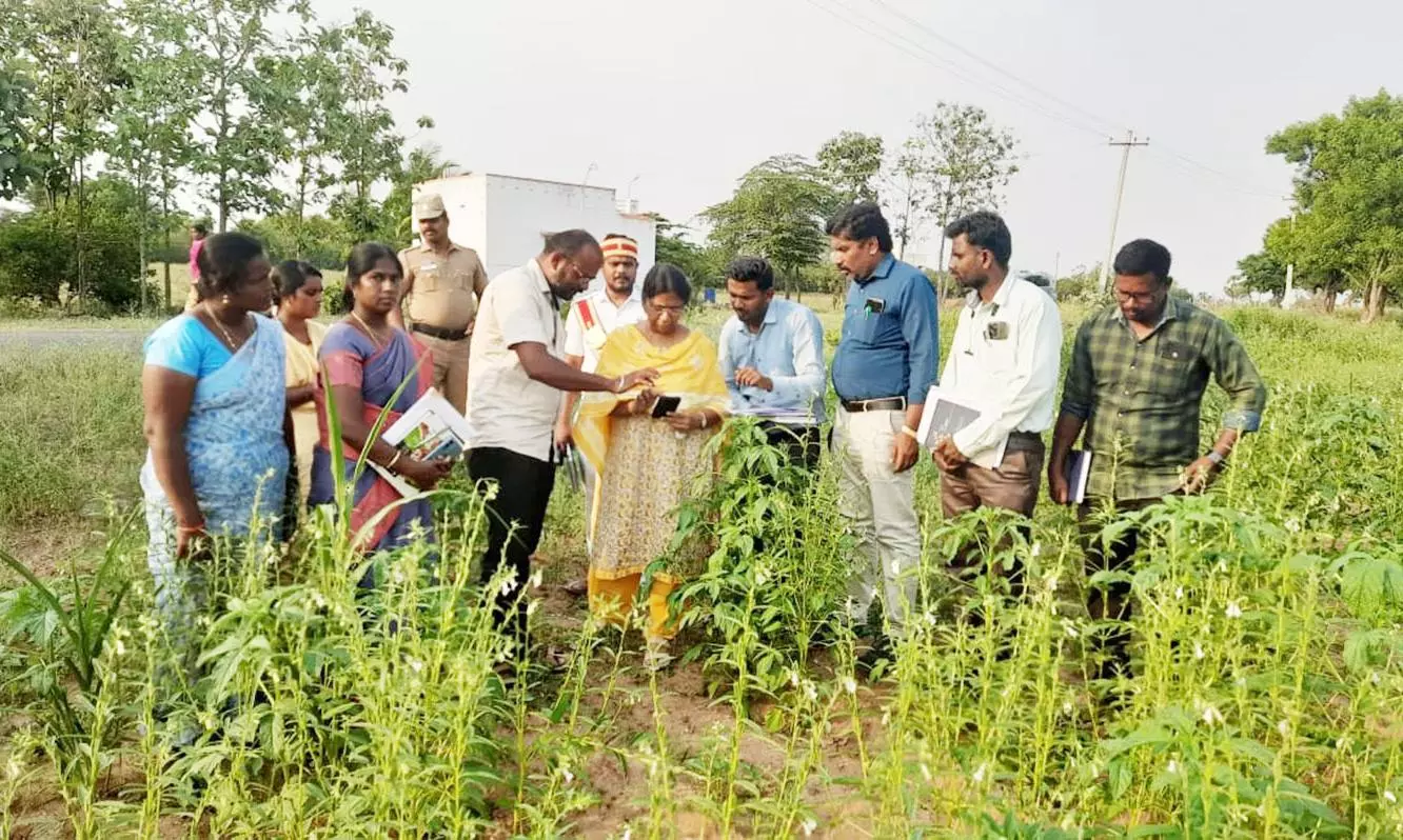 காரிமங்கலத்தில் வேளாண் அடுக்கு திட்டம் காரிமங்கலத்தில் வேளாண் அடுக்கு திட்டம்