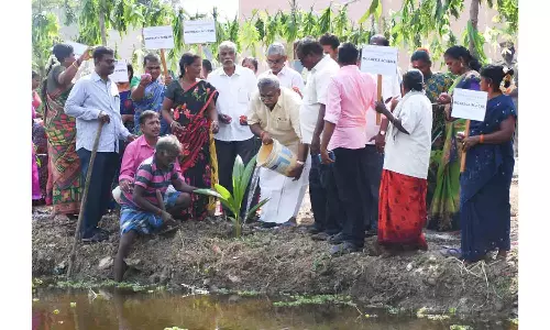 நீர் நிலைகளை மேம்படுத்த குளக்கரைகளில் மரக்கன்று நடும் விழா
