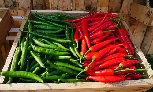 பச்சை-சிவப்பு: எந்த மிளகாய் ஆரோக்கியத்திற்கு நல்லது...