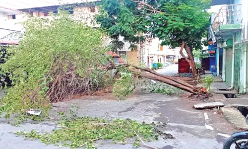 குமாரபாளையத்தில் சூறைக்காற்று, இடி, மின்னலுடன் கனமழை