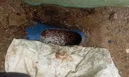 சாராய ஊறல் கைப்பற்றப்பட்டது