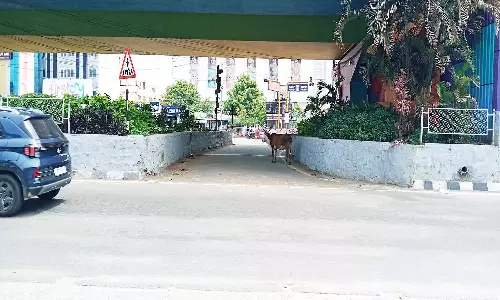 வேலூர் கிரீன் சர்க்கிளில் மூடப்பட்ட சாலை மீண்டும் திறப்பு