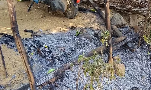 கடையம் அருகே வீட்டை சுற்றி கட்டப்பட்டிருந்த தென்னந்தட்டிக்கு தீவைப்பு