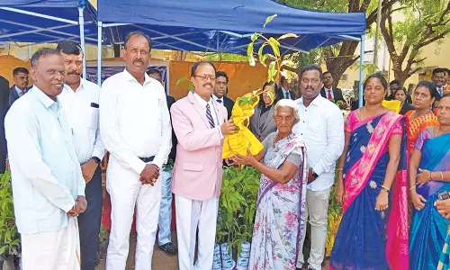 உலக சுற்றுச்சூழல் தினத்தை முன்னிட்டு நெல்லை கோர்ட்டு வளாகத்தில் 500 மரக்கன்றுகள் நடும் நிகழ்ச்சி