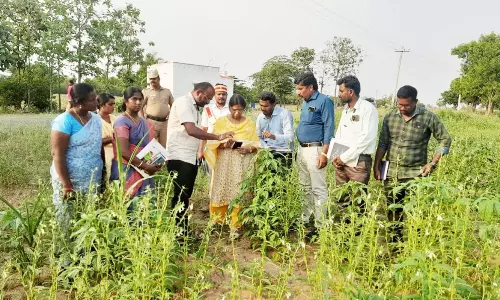 காரிமங்கலத்தில் வேளாண் அடுக்கு திட்டம்