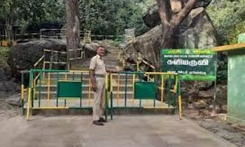 கவியருவிக்கு சுற்றுலாபயணிகள் செல்ல தடை