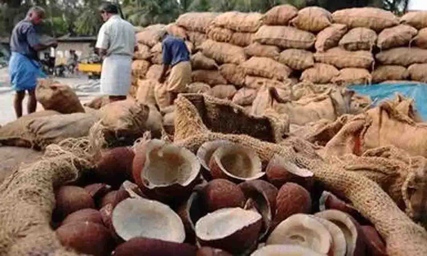 காங்கயம் ஒழுங்குமுறை விற்பனைக்கூடத்தில் ரூ.1.62 லட்சத்திற்கு கொப்பரைகள் விற்பனை