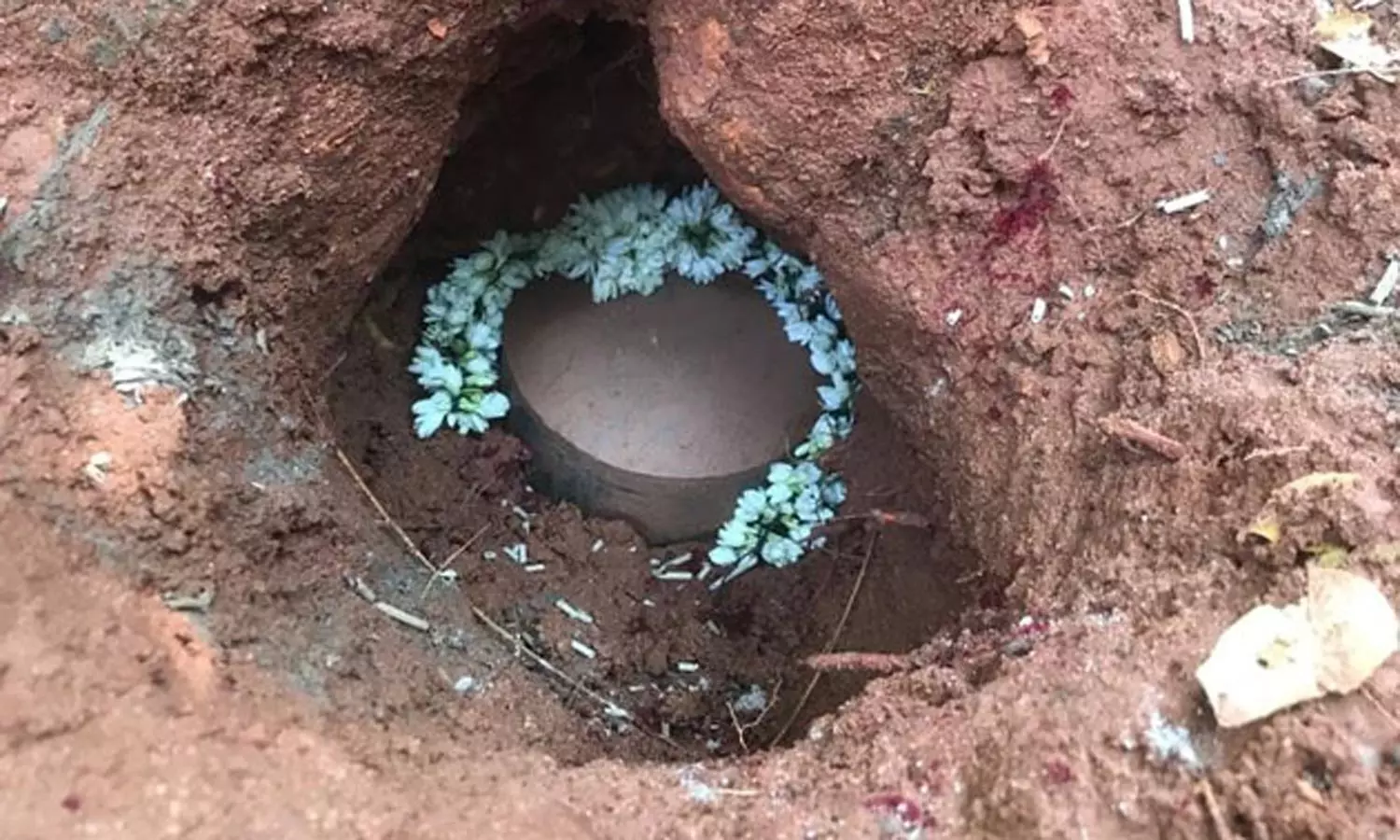 பண்ருட்டி அருகே விசேஷம்- பால் வடிந்த வேப்ப மரத்தின் கீழ் கிடைத்த சிவலிங்கம் பண்ருட்டி அருகே விசேஷம்- பால் வடிந்த வேப்ப மரத்தின் கீழ் கிடைத்த சிவலிங்கம்