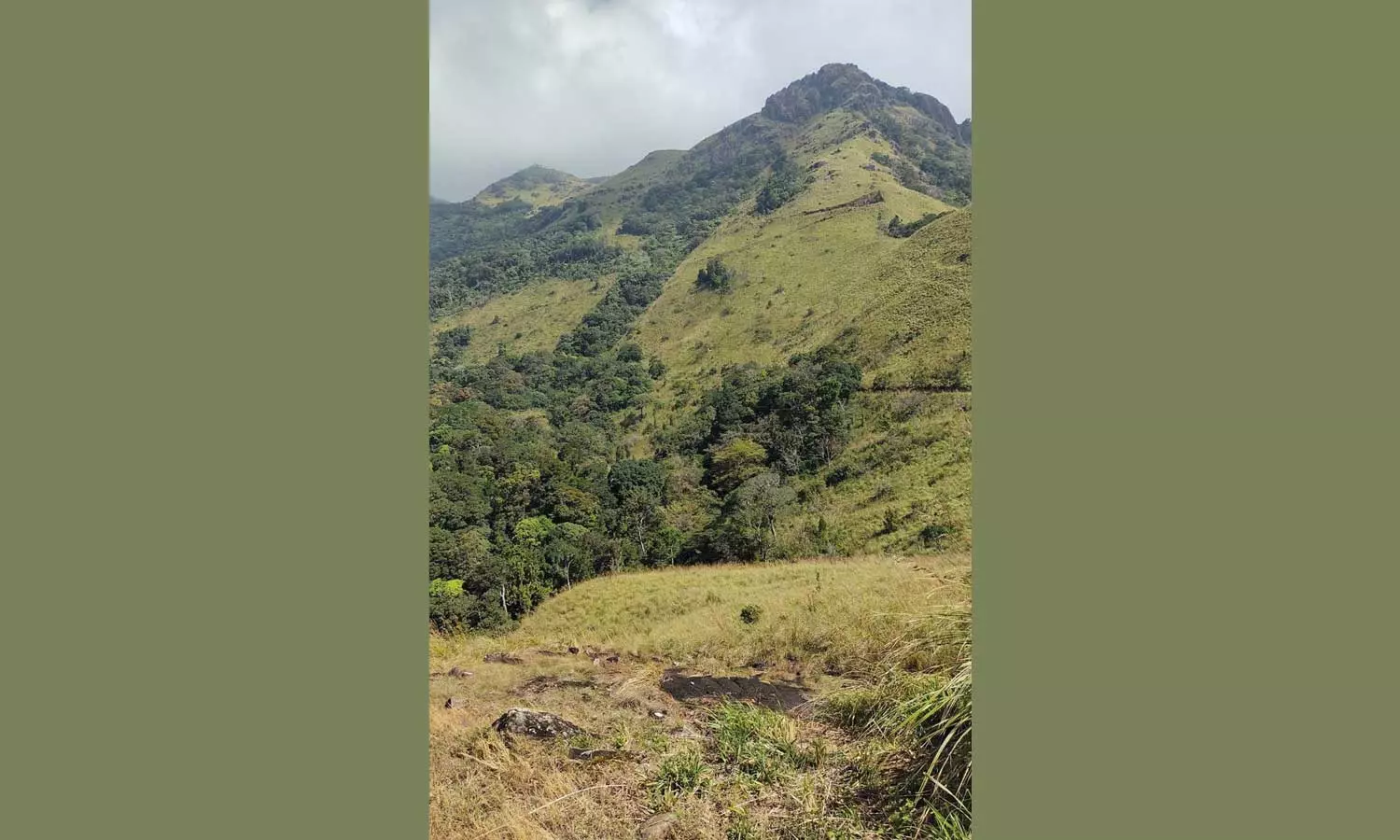 அரிசிகொம்பன் வசிப்பிடம் இனி எங்கே?