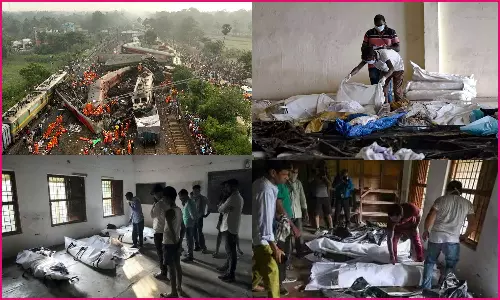 இன்னும் 101 உடல்கள் அடையாளம் காணப்படவில்லை