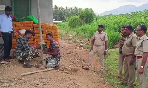 டி.என்.பாளையம் அருகே தோட்டத்துக்குள் புகுந்து ஆட்டுக்குட்டியை கடித்து கொன்ற சிறுத்தை