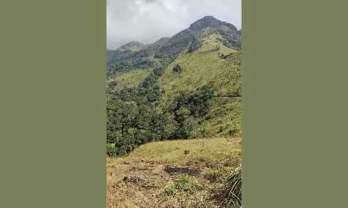 அரிசிகொம்பன் வசிப்பிடம் இனி எங்கே?
