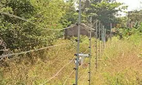 வயல்வெளியில் மின்வேலி அமைத்தால் கடும் நடவடிக்கை