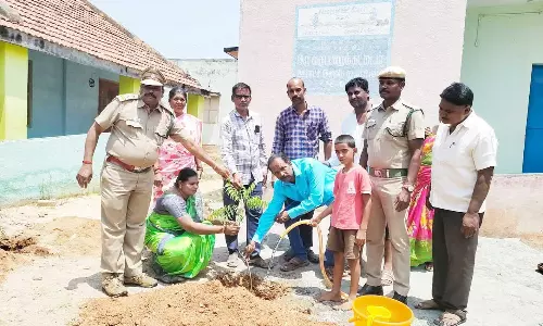 ராயக்கோட்டை பகுதியில் மரக்கன்று நடும் விழா