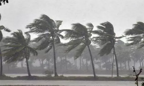 சூறைக்காற்று மழையால் பாதிப்பு