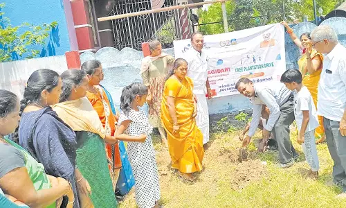 அலிவலத்தில், மரக்கன்று நடும் விழா