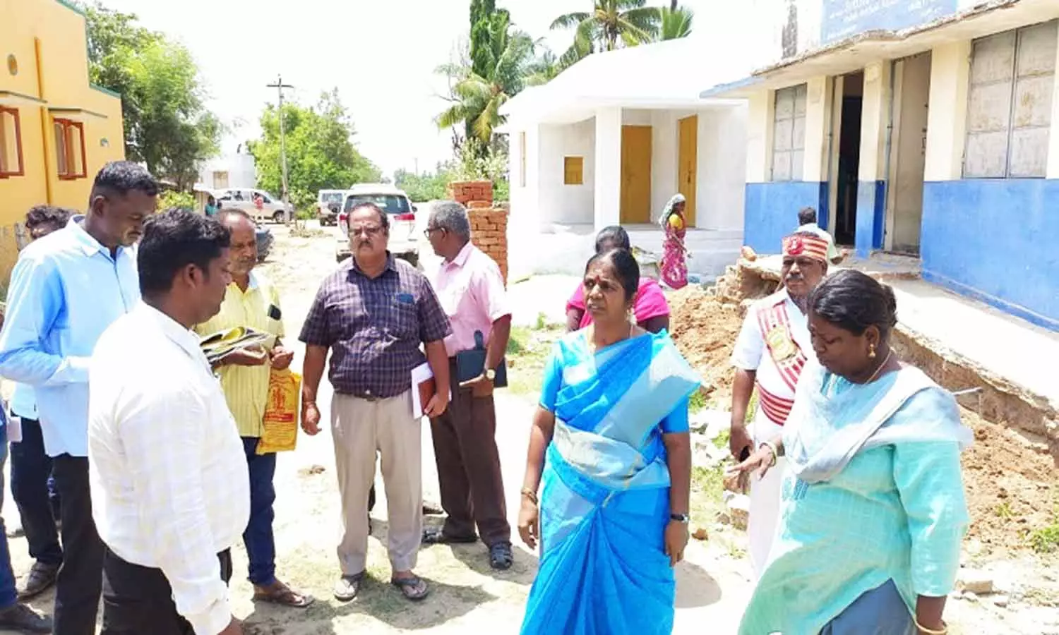 நெமிலி பகுதியில் வளர்ச்சி திட்ட பணிகளை கலெக்டர் ஆய்வு
