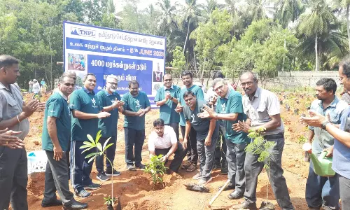தமிழ்நாடு செய்திதாள் காகித நிறுவனம் சார்பில் மரக்கன்று நடும் விழா