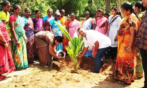 கம்மவான்பேட்டை கிராமத்தில் மரக்கன்றுகள் நடப்பட்டது