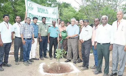 சாகுபுரம் டி.சி.டபிள்யூ. நிறுவனத்தில் 200 மரக்கன்றுகள் நடும் நிகழ்ச்சி - சுற்றுச்சூழல் குறித்த போட்டிகளும் நடந்தன