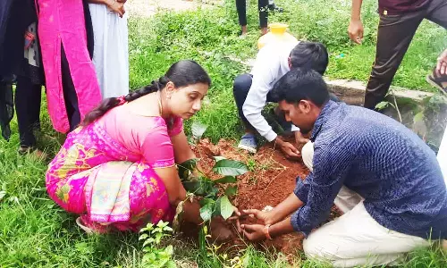 மரக்கன்றுகள் நடும் விழா