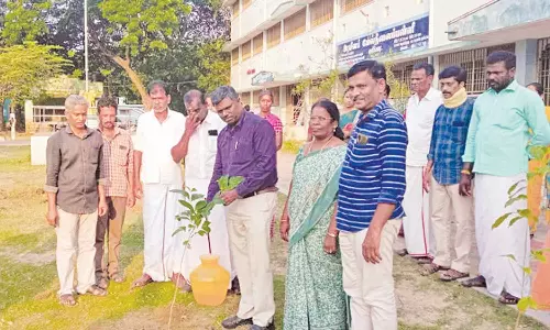 அரசு பள்ளியில் மரக்கன்று நடும் விழா