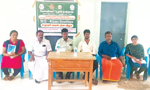 அக்கரைவட்டத்தில், உழவர் வயல் தினவிழா