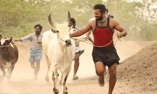 சர்வதேச விருதுகளை வென்ற இராவண கோட்டம் திரைப்படம்