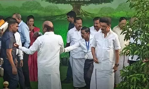 கருணாநிதி நூற்றாண்டு விழா - 5 லட்சம் மரக்கன்றுகள் நடும் திட்டத்தை தொடங்கி வைத்தார் மு.க.ஸ்டாலின்