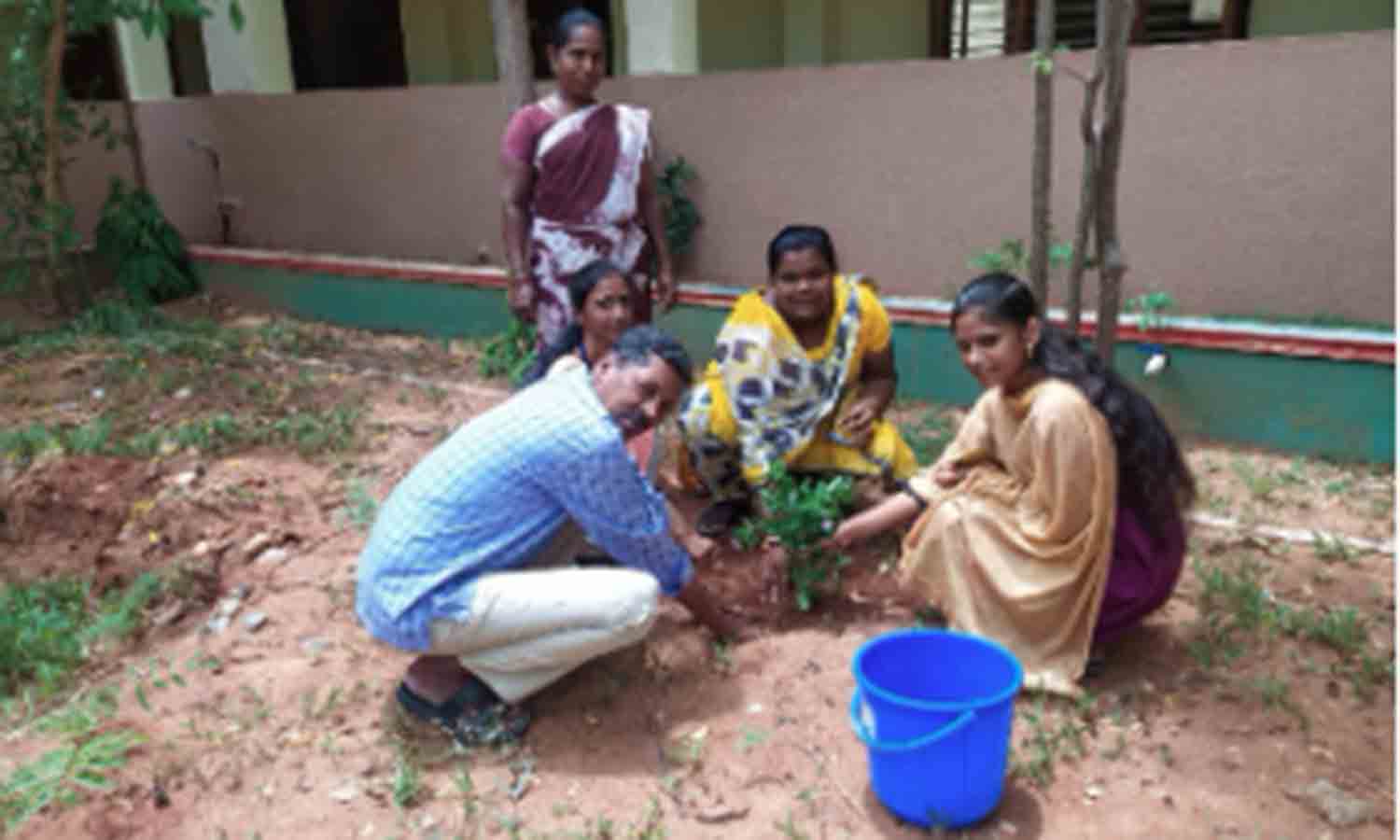 உலக சுற்றுச்சூழல் தின விழா