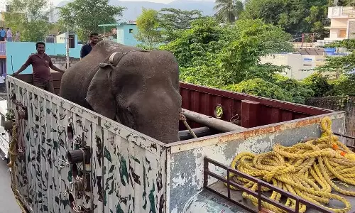 குமரி மாவட்ட வனப்பகுதிக்குள் நுழைய முயன்ற அரிசிக்கொம்பன் யானை