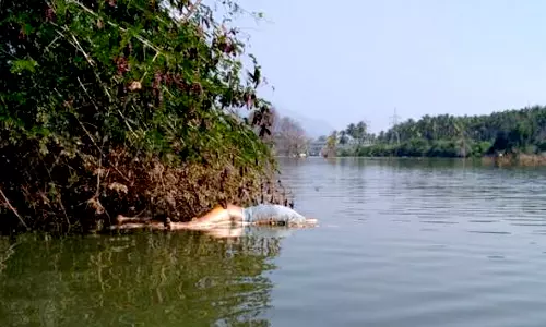 பவானி ஆற்றில் அழுகிய நிலையில் ஆண் உடல்