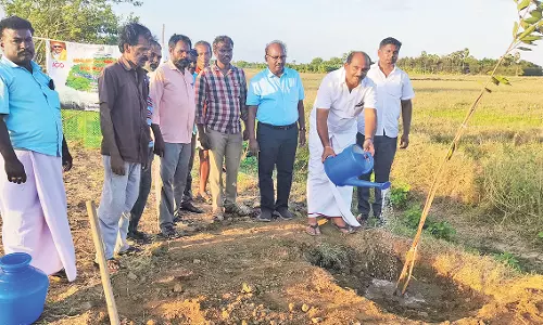 ஆழ்வார்திருநகரி பகுதியில் 2,500 மரக்கன்றுகள் நடும் நிகழ்ச்சி