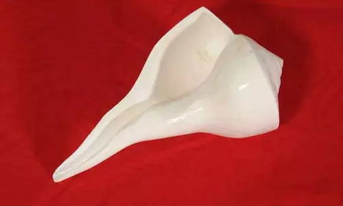 வரத்து குறைவால் நலிந்து போன சங்கு தொழில்