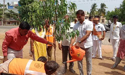 12 ஆயிரம் மரக்கன்றுகள் நடும் பணி