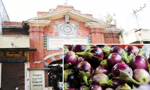 வேலூர் மார்க்கெட்டில் கத்தரிக்காய் கிலோ ரூ.180-க்கு விற்பனை