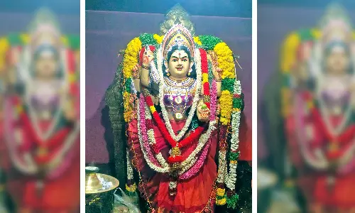 சிவகிரி அருகே காளியம்மன் கோவிலில் வருசாபிஷேகம்