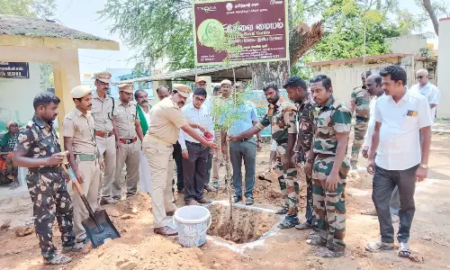 தேன்கனிக்கோட்டையில் உலக சுற்றுச் சூழல் தினம்