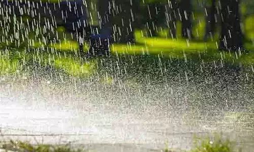 தருமபுரியில் பெய்த  திடீர் மழை