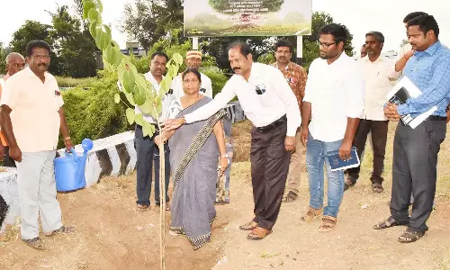 தருமபுரி மாவட்டத்தில் 12 ஆயிரம் மரக்கன்றுகள் நடும் பணி