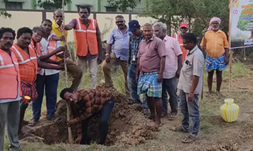 கலைஞரின் நூற்றாண்டு விழா- பொன்னேரி நெடுஞ்சாலை அருகே 500 மரக்கன்றுகள் நடப்பட்டன