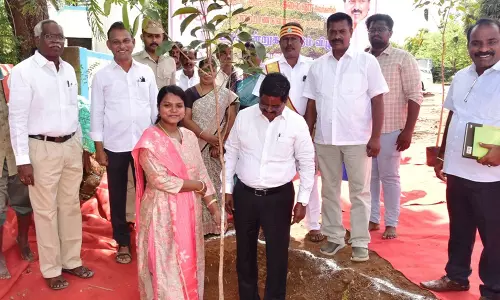 புதுக்கோட்டை நெடுஞ்சாலை துறை சார்பில் மரம் நடும் விழா