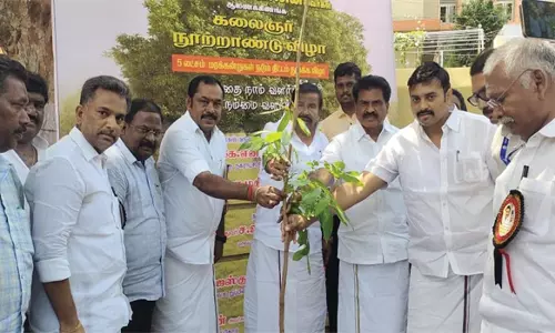 நாமக்கல் நெடுஞ்சாலை கோட்டத்தில் 12 ஆயிரம் மரக்கன்றுகள் நடும்பணி