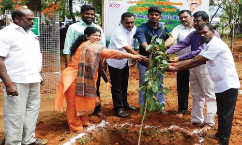 வாழப்பாடியில் நெடுஞ்சாலைத்துறை சார்பில் 2000 மரக்கன்றுகள் நடும் விழா