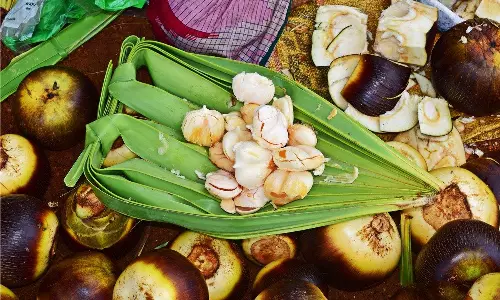 நீரிழிவு நோயாளிகள் நுங்கு சாப்பிடலாமா?